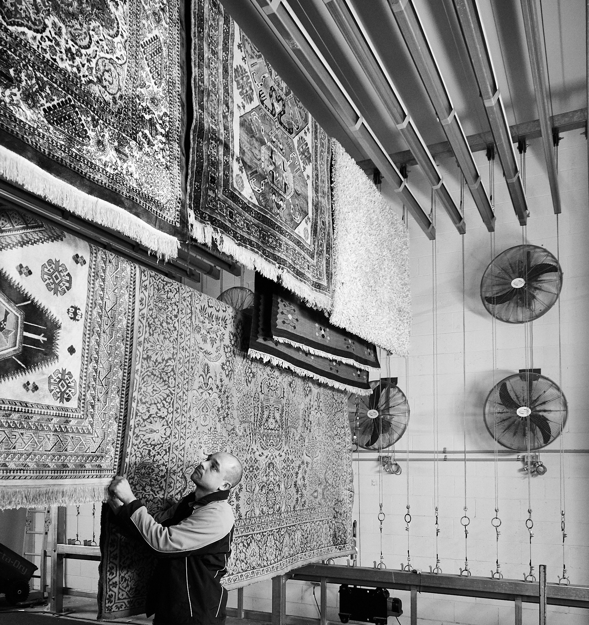 Our Rug Cleaning Process Melbourne Rug Wash